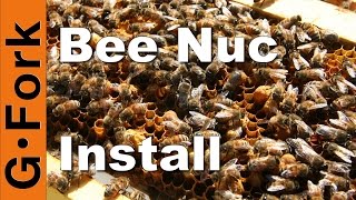 Start a Beehive with a Nuc - Beekeeping 101 - Gard