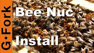 Start a Beehive with a Nuc - Beekeeping 101 - GardenFork