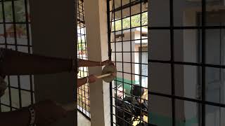Download lagu School bell sound viral #school #schoolbell #youtube_shorts #shortfeed #viralvideo mp3