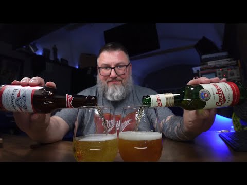 Massive Beer Review 4220 Budweiser vs Budweiser ... AB InBev Bud vs Budweiser Budvar/Czechvar Lagers