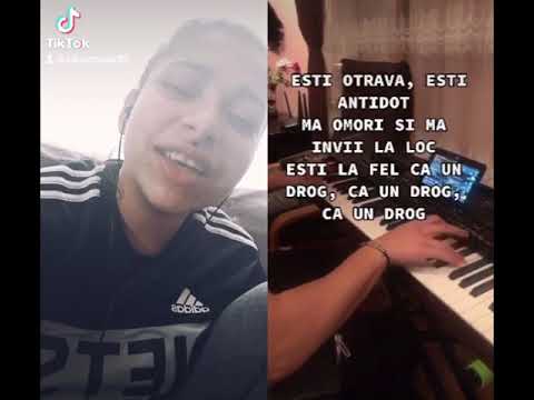 -esti o trava esti antidot