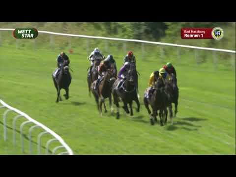 Preis der Firma HS Jankowski Heizung - Maiden