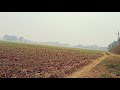 AAJ MAUSAM BADA BAIMAN HAI BADA WHATSAPP STATUS