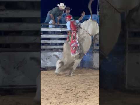 Semi-Final em PORTO ALEGRE DO NORTE-MT #rodeio #agro #gado #boa #fazenda #good #pbrlatam #barretos