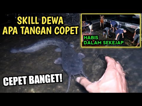 tangan-kosong-menangkap-ikan-lele-besar-kecepatan-tangan-yg-luar-biasa-cuma-sebentar-dapat-banyak