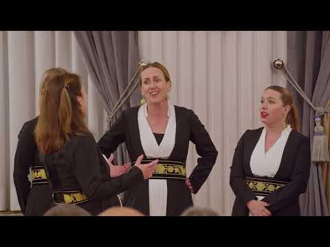 Klapa Ćakulone - Divojka je zelen bor gojila