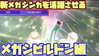 【ポケモンチャンピオンズ】新メガシンカを活躍させる【ダブルバトル】【メガシビルドン】