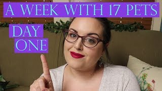 A Week In My Life With 17 Pets | Day One - MONDAY