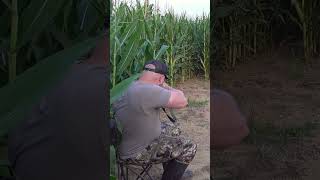 Hunter surrounded by coyotes! #howling #animal #predatorhunting #coyotes #coyote #wildlife