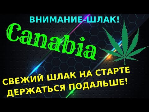 Canabia в рубрике ШЛАК ПРОЕКТЫ