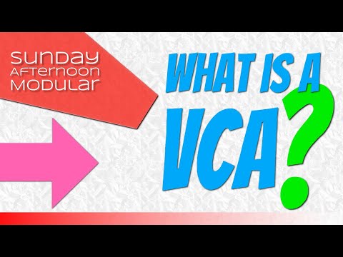 WHAT IS A VCA? - and why you need one