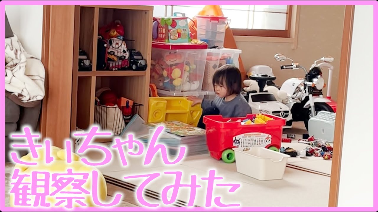 きぃちゃんの一人遊びをひたすら観察する動画