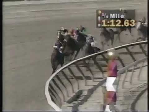 Wood Memorial Stakes (G2) 1995