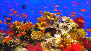 Razão De Viver  -  Eumir Deodato