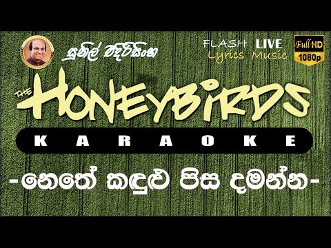 Nethe Kadulu Pisa Damanna karaoke (Without Voice) නෙතේ කඳුළු පිස දමන්න කැරෝකේ
