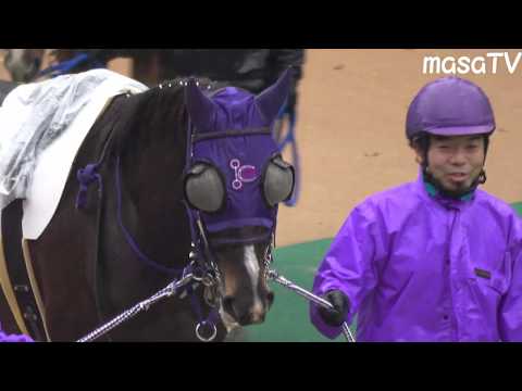 【４Ｋ現地撮影】2019年11月23日東京競馬8Rスズカアーチスト＆藤田菜七子騎手8着