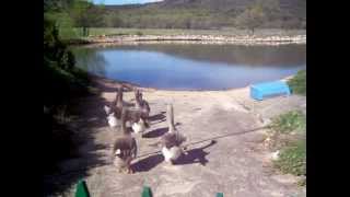 101_0149.MOV