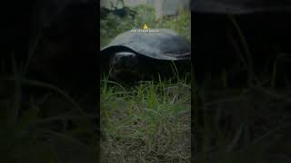 Download lagu story wa full senyum kawan mp3