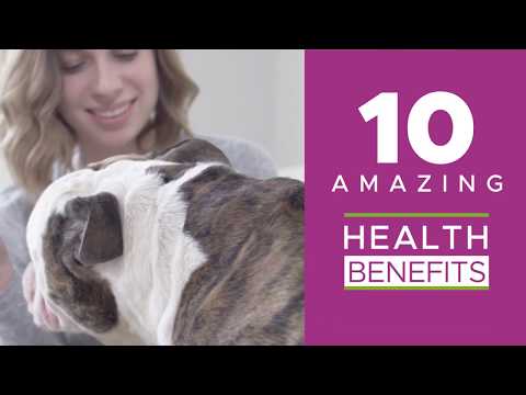 10-For-1 Multivitamin Chews with Glucosamine For Dogs