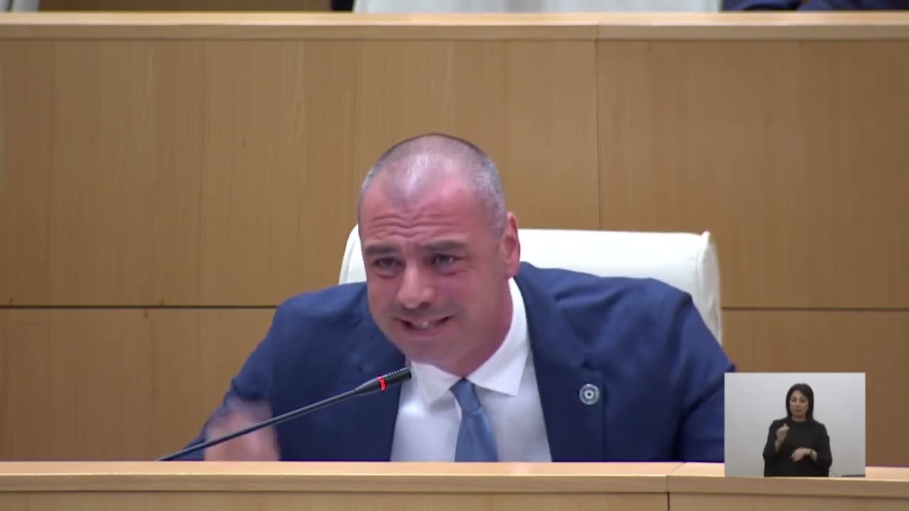 ლევან მაჭავარიანის გამოსვლა პარლამენტში