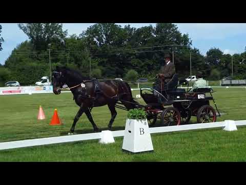 Fahrtunier Dörenthe 12.6.2022