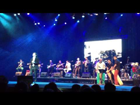 Indeleble - Los Mesoneros versión Rock and Mau (2013)