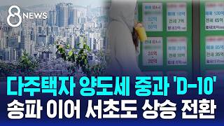 중과 부활 앞두고 '들썩'..송파 이어 서초도 '반등' / SBS 8뉴스