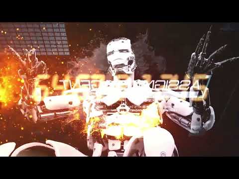 Amnistia - Phoenix Rising