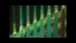 "Bella Ciao" - Chumbawamba