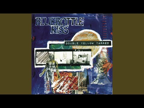 Ice On The Road - Bluebottle Kiss