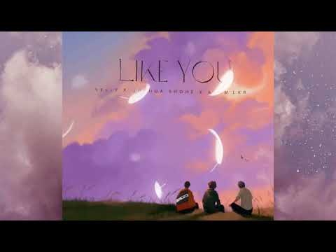 VeeZy x Joshua Shohe x Akum Lkr - Like You (visualizer)