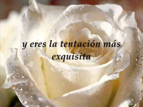 Alvaro Torres   Nada Se Compara Contigo    con letra