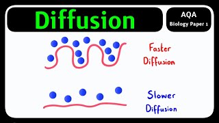 GCSE Biology AQA - Diffusion & Exchange Surfaces | Moving Particles [Biology Paper 1]