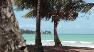 Beachfront luxury house in Puerto Rico