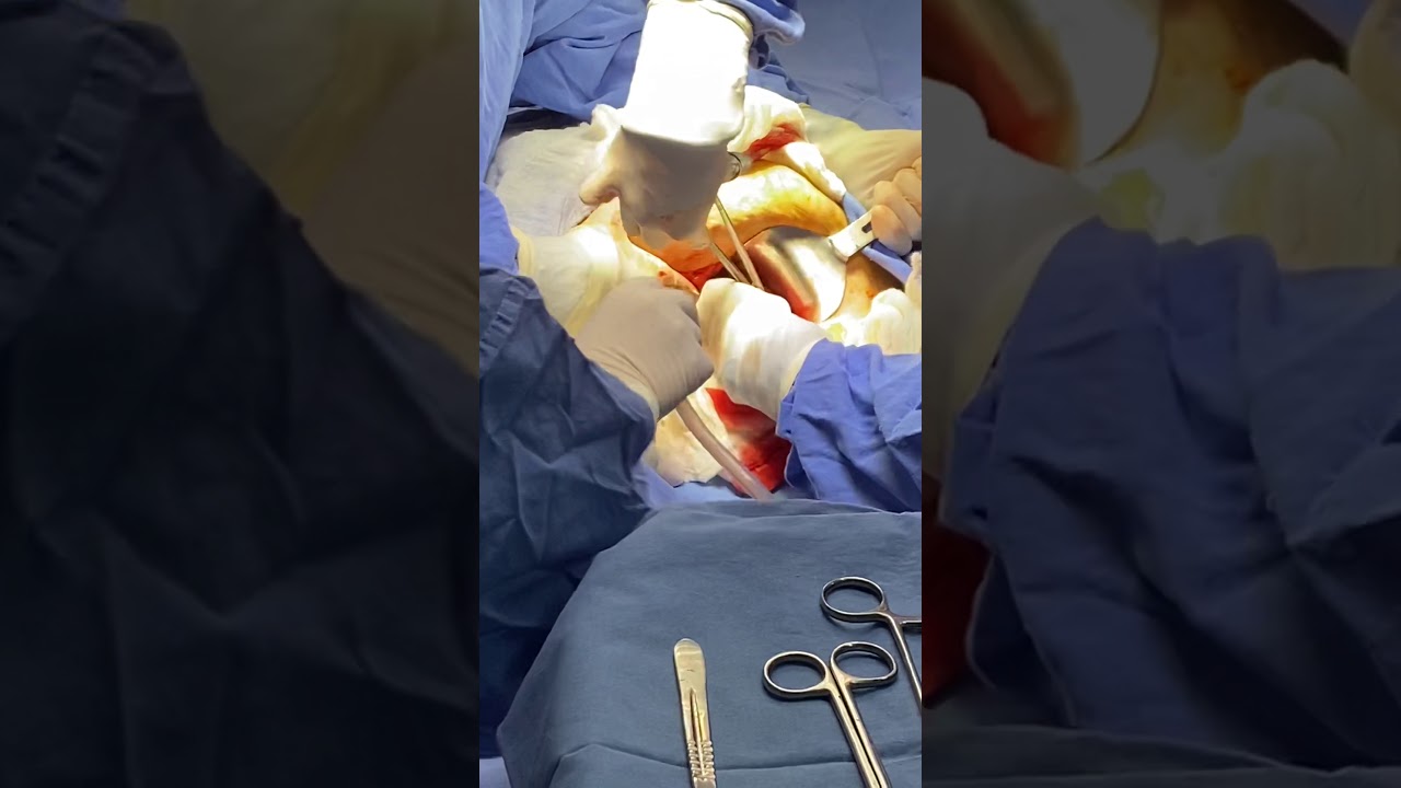 Cynthia Gina Morales Domínguez-23