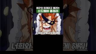 원피스) 해군의 미래라고 불리는 소드멤버 총정리