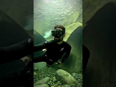 Reel tagged #shorts
