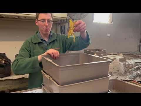 How to Add Extra Trays to Your Worm Farm