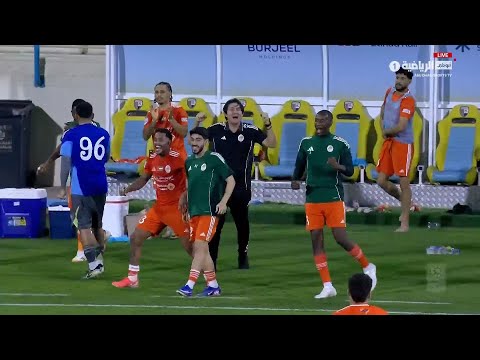 bg-highlight