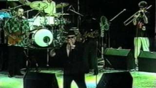 Blues Brothers Band - Messin&#39; with the kid