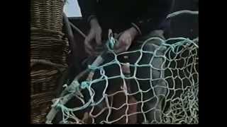 preview picture of video 'Milford Fishermen'