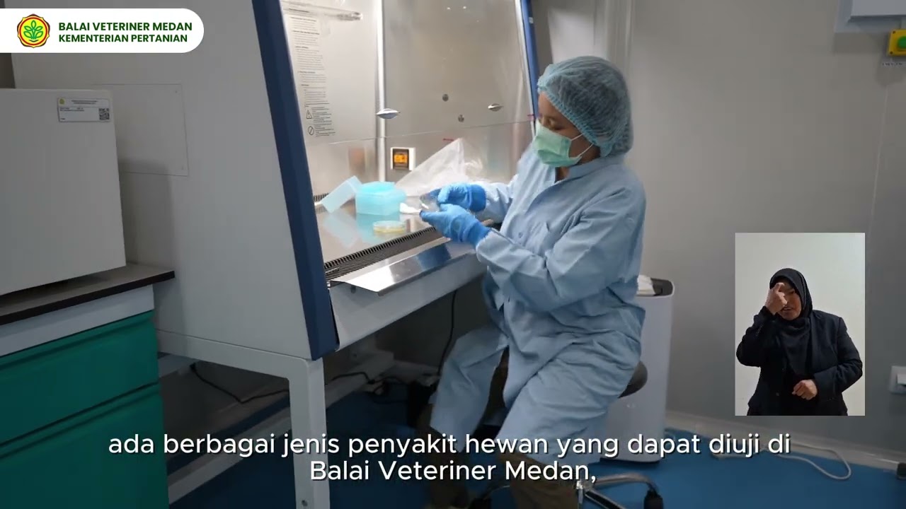 PROFIL SINGKAT BALAI VETERINER MEDAN  Balai Veteriner Medan Official 92 subscriber Analytics