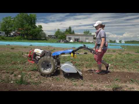 S RIPPLE  Farm Girl ,DJI mavic mini 2 ,Panasonic gh5 Ronin Sc.