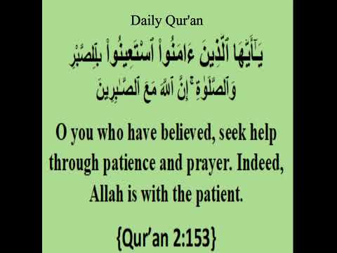 Oh you who believe! Take recourse in patience and prayer {Qur'an 2:153} #Shorts