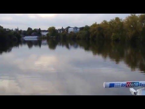 Flussreise mit der A-Rosa Brava auf dem Main vonn Frankfurt nach Amsterdam