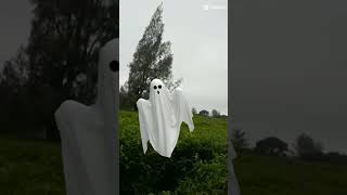 Download lagu ngamumule nusantara(1LS) mp3