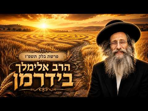 הרב אלימלך בידרמן | פרשת בלק תשפ"ו (2026) | עלונימייל