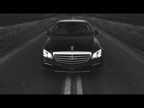 Bones & Vegard Veslelia - PlantsInTheVase