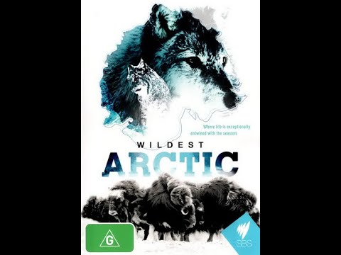 Суровая (Дикая) Арктика / Wildest Arctic Серия 2 Taiga - The Frozen Forests / Тайга - Замёрзшие леса