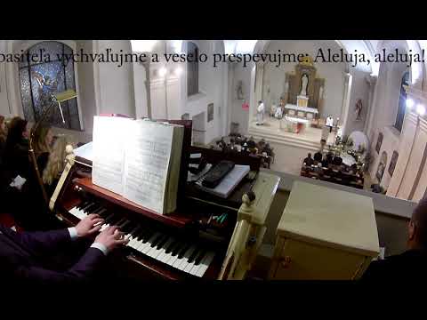 JKS 204 - Spoločne sa dnes radujme (ein Osterlied)